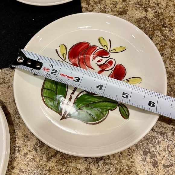 Vintage Stetson Red Rio Rose Desert Plates in basket Set of Seven - Picture 8 of 16